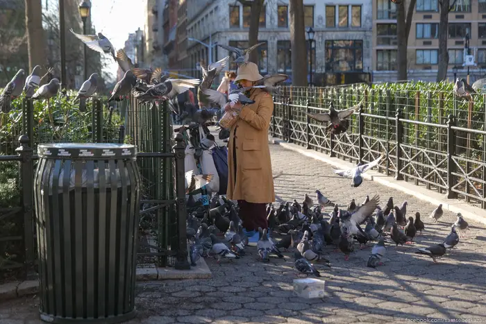 a woman being swarmed by pigeons in a park